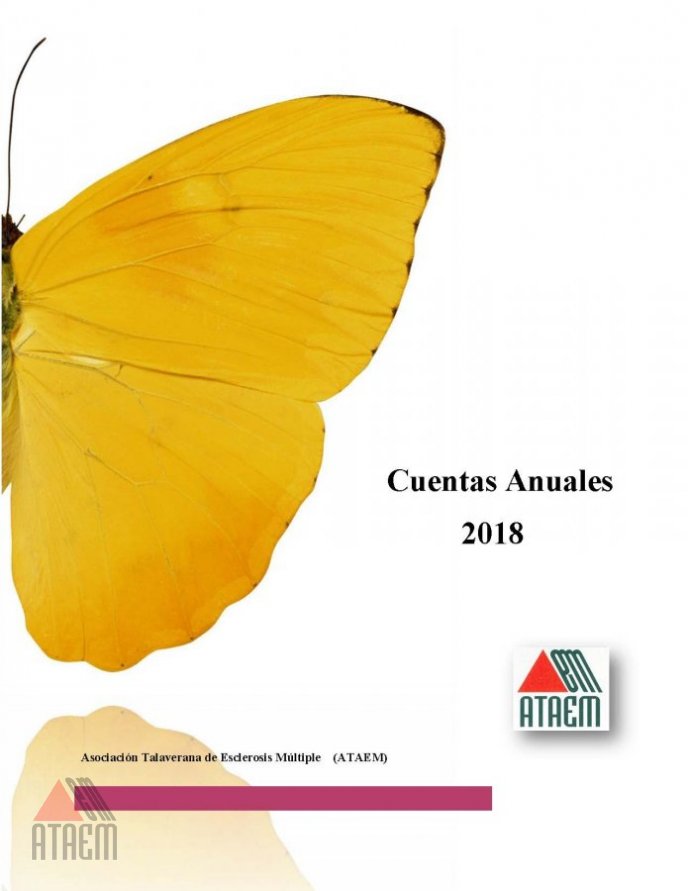 CUENTAS ANUALES 2018 APROBADAS EN ASAMBLEA GENERAL