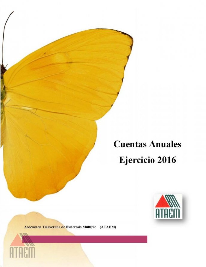 CUENTAS ANUALES AÑO 2016