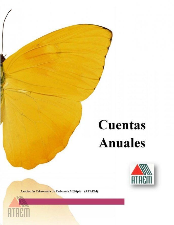 CUENTAS ANUALES AÑO 2014